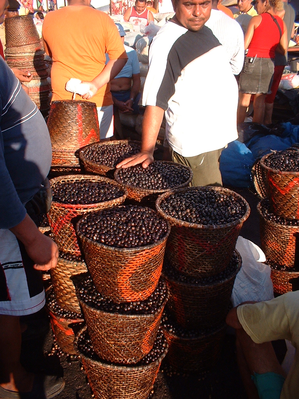 Açaí fresco à venda no Mercado do Ver-o-Peso em Belém, Pará — berços do açaí brasileiro